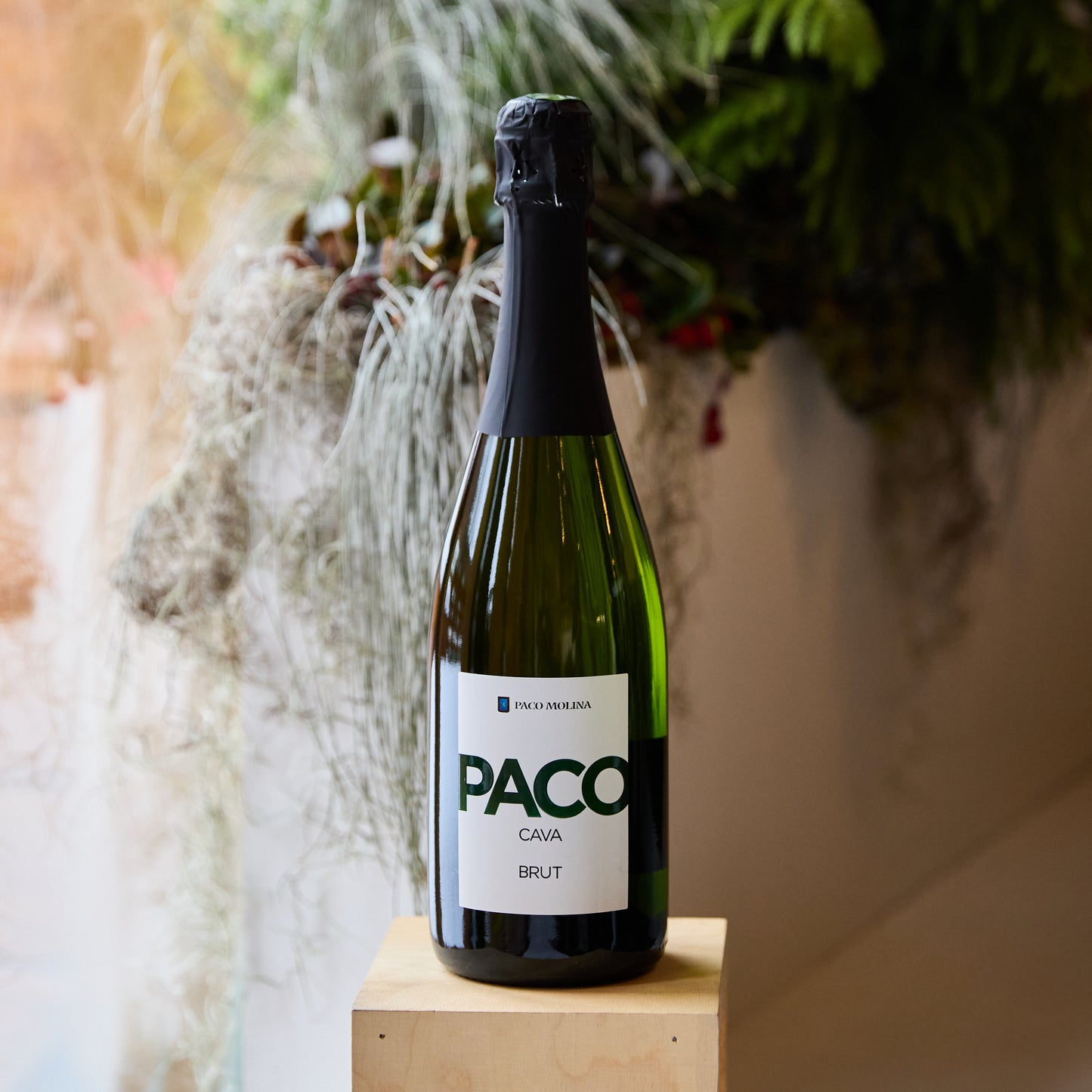 Paco Molina Cava Brut