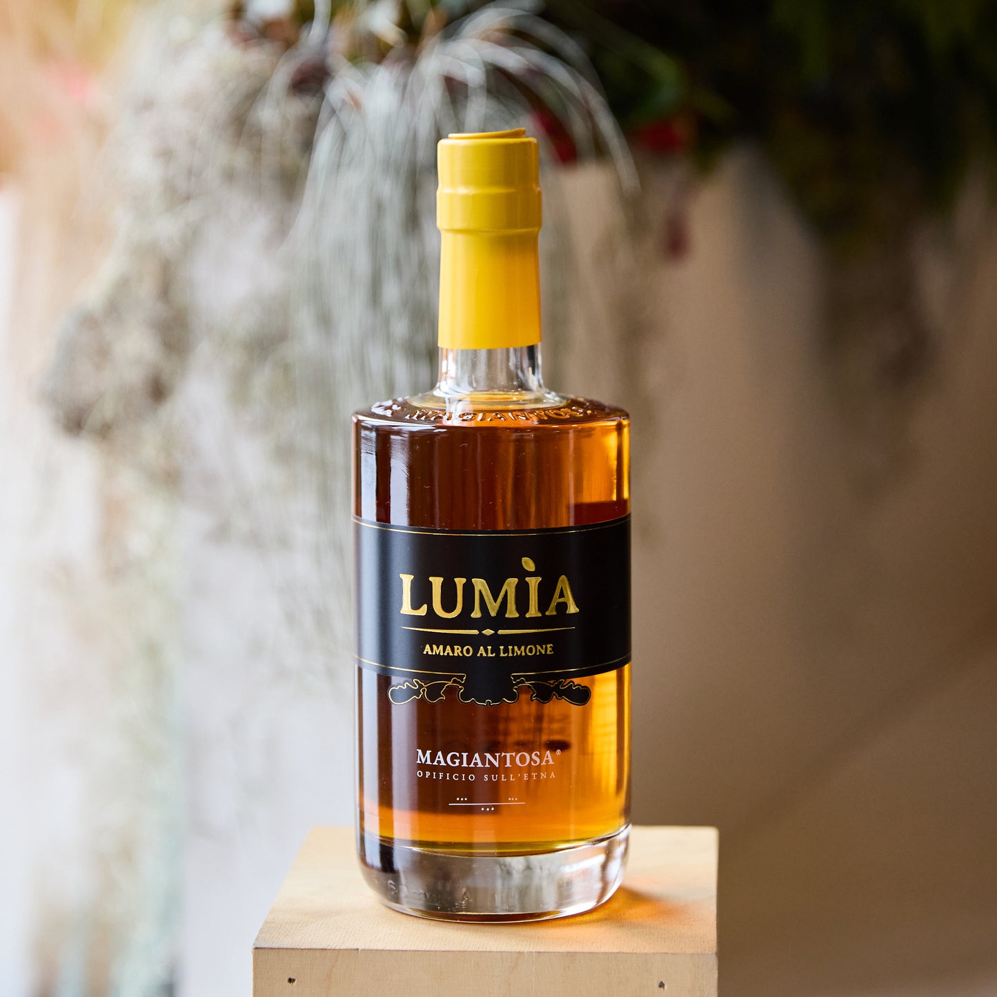 Lumia Amaro al Limone