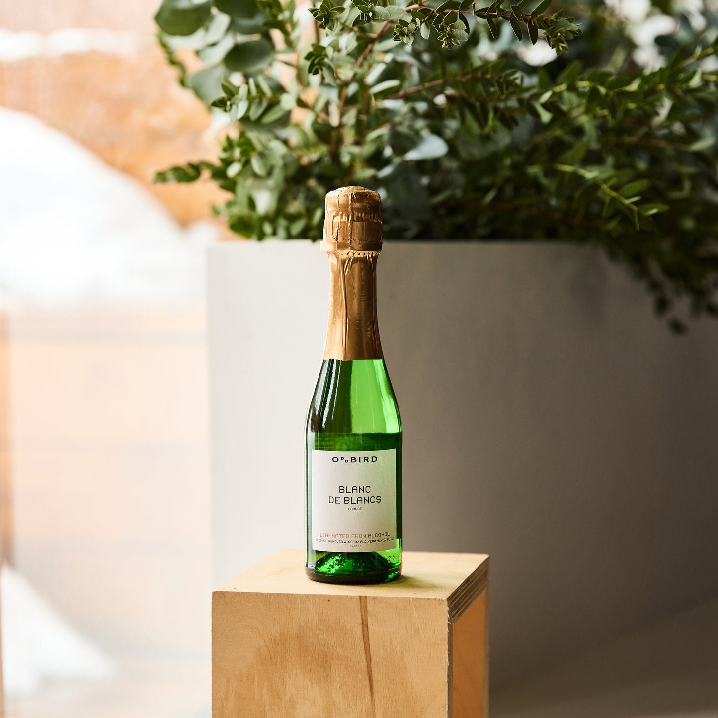 Oddbird Non-Alcoholic Wine Blanc de Blancs 200ml